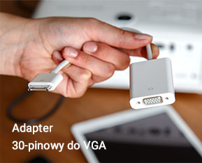 Adapter 30-pinowy do VGA