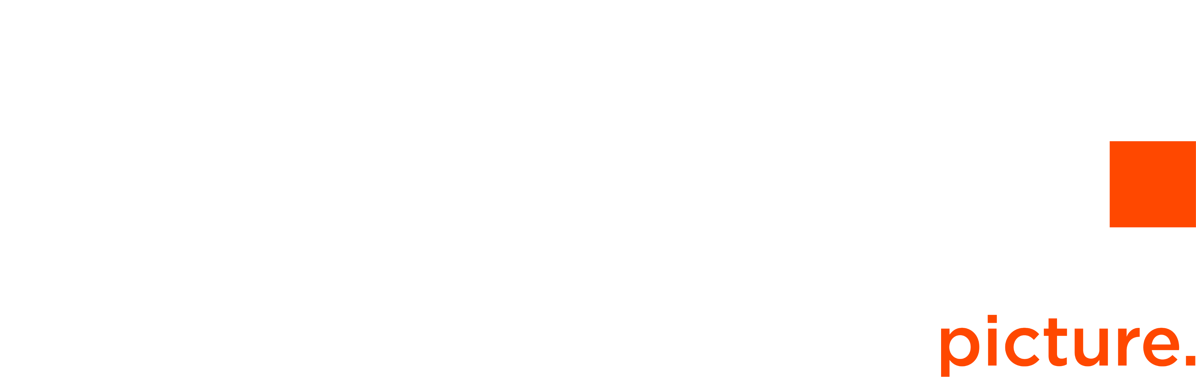 celexon Logo
